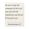 Deuteronomy 6:17