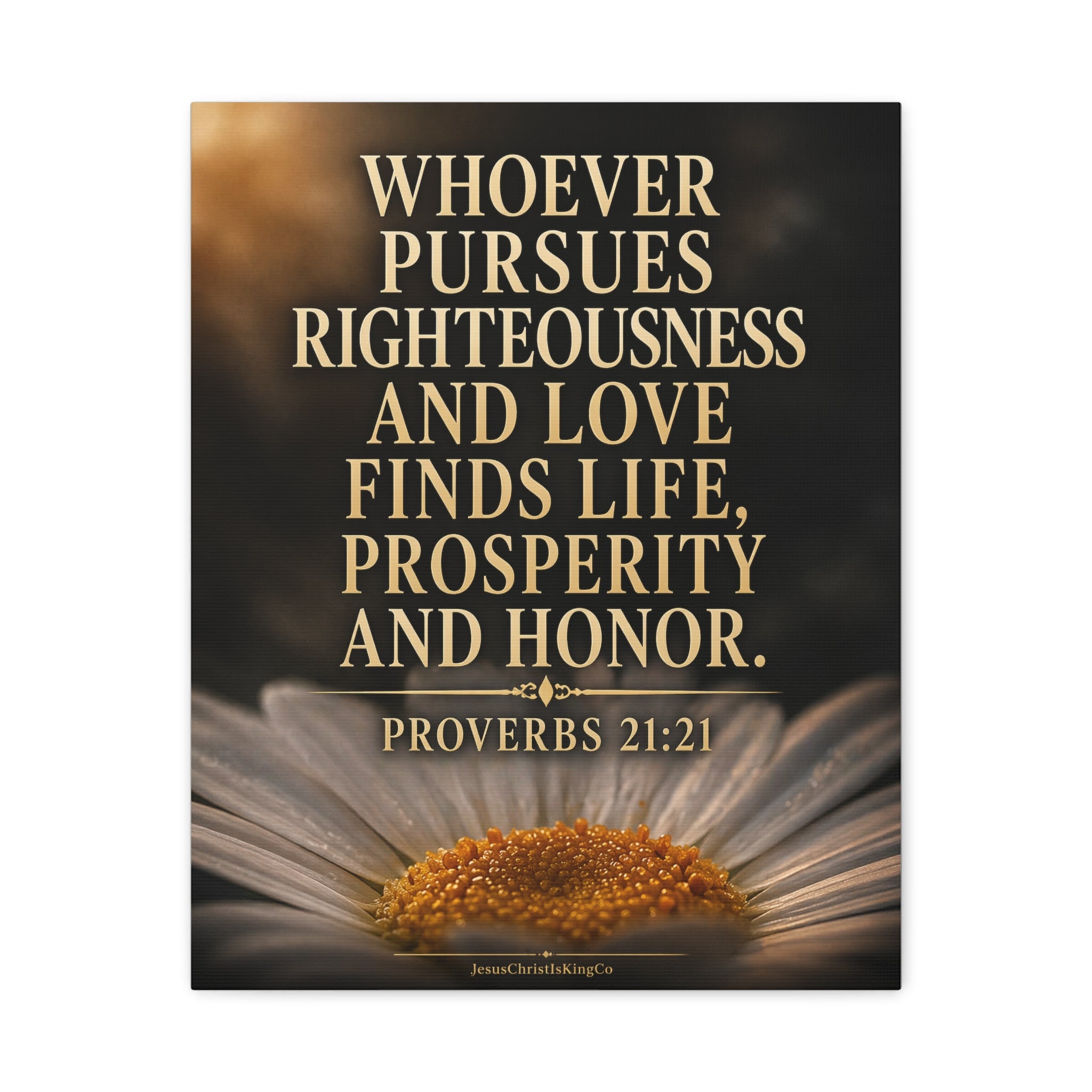Proverbs 21:21